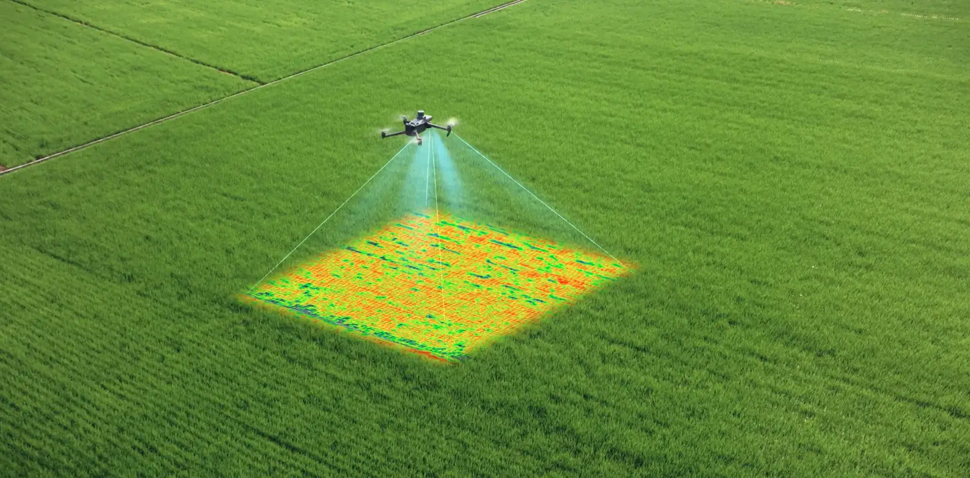 Precision Farming’s New Tool – The Mavic 3 Multispectral