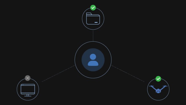 Custom Project Roles and Permissions