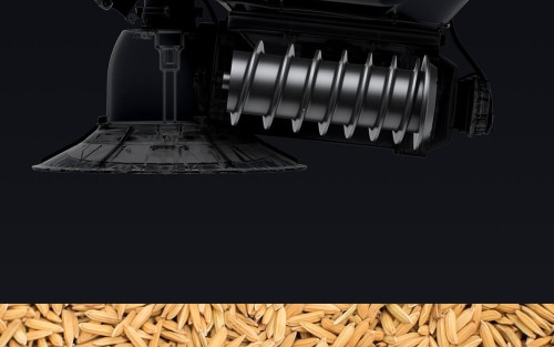 Medium Feeder